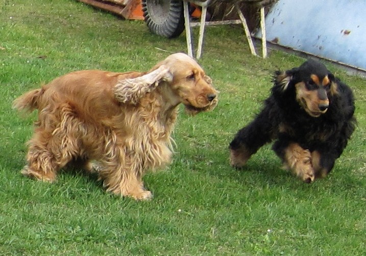 h Arny-10.4.2010.JPG